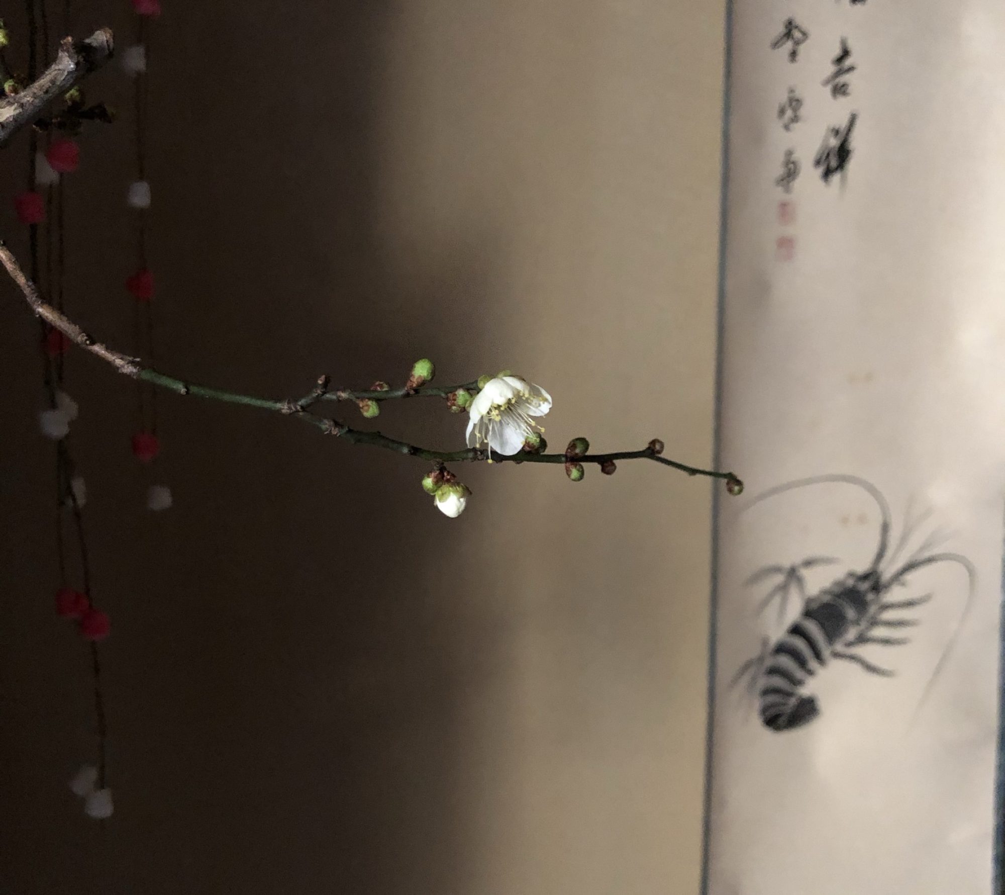 阿佐谷茶道教室